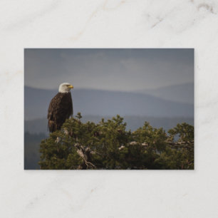 Águila calva - Tarjeta de presentación