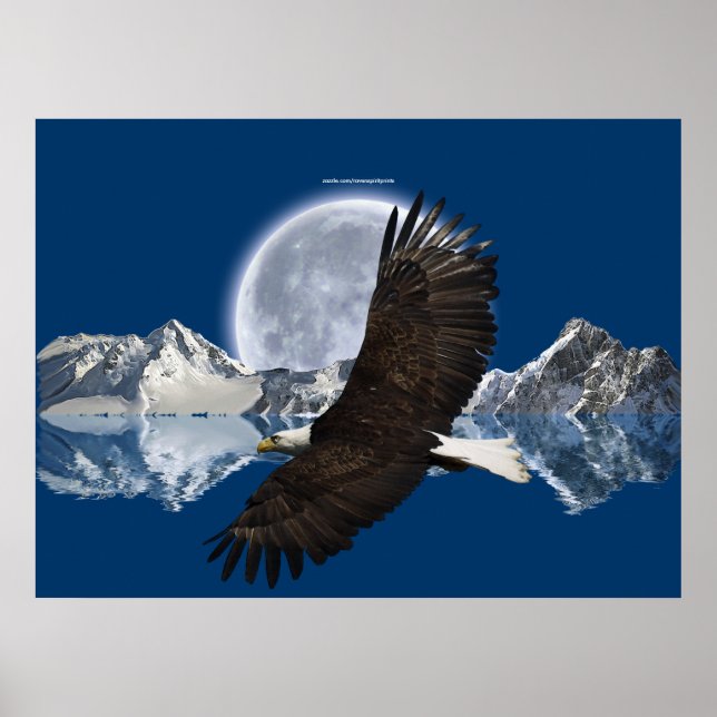 Águila calva voladora, Poster de arte de montaña y (Frente)