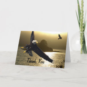 Águila calva y Raven gracias a las tarjetas