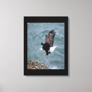 Águila de arte de lienzo