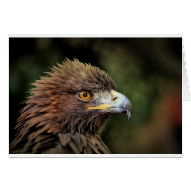 águila dorada (Anverso (Horizontal))