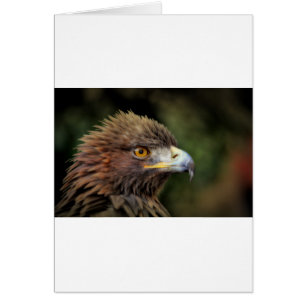 águila dorada