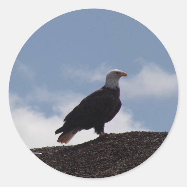Águila en Pegatinas de alta tierra (Anverso)