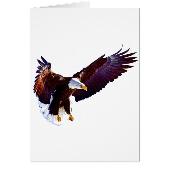 Águila En Vuelo (Frente)