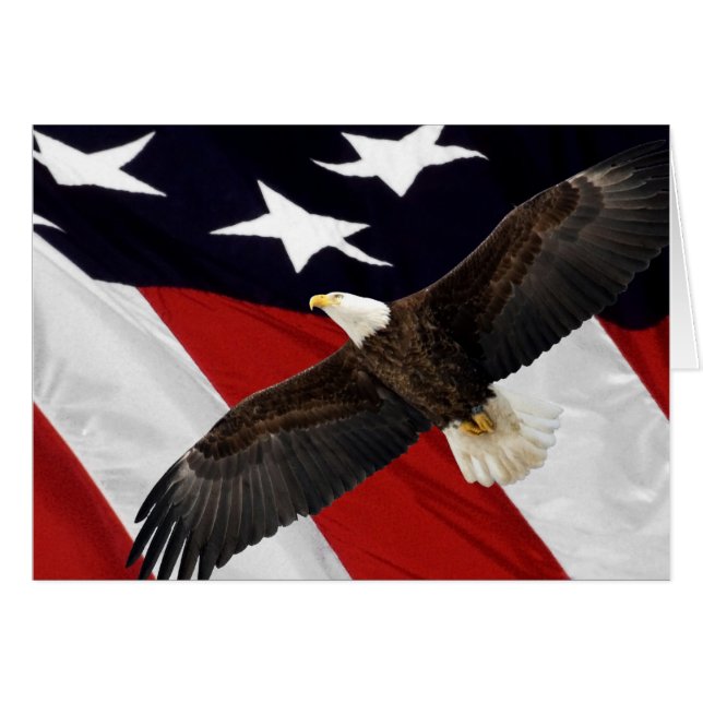 Águila en vuelo por la bandera estadounidense (Anverso (Horizontal))