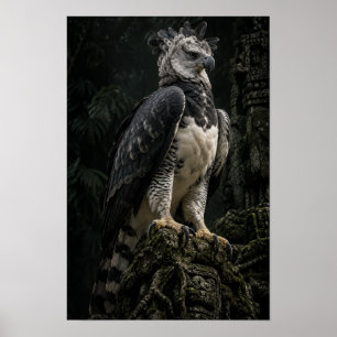 Águila Harpía en Arte de Pared de Selva Oscura