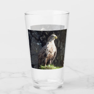 Águila Majestuosa de Cola Blanca Acantilado Agrest