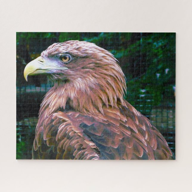 Águila Real Ave de Presa. Rompecabezas (Horizontal)