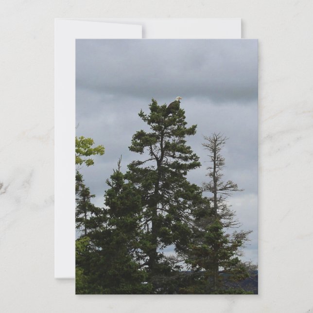 Águila superior del árbol (Anverso)