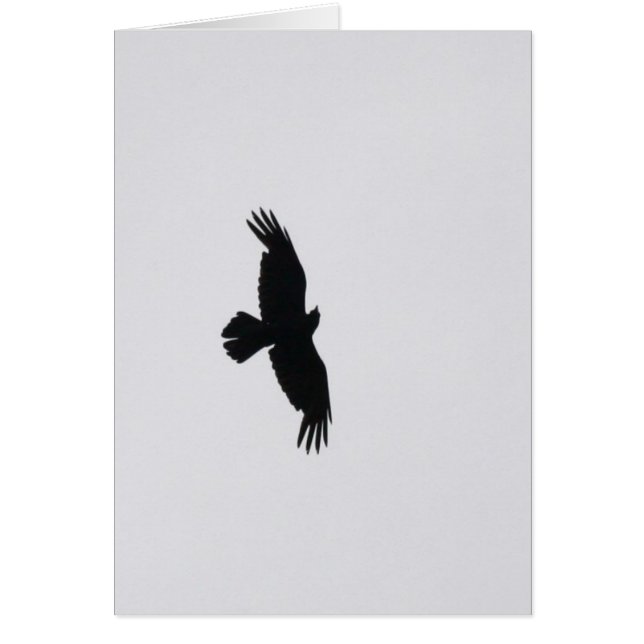 Águila Vuela Alto (Frente)