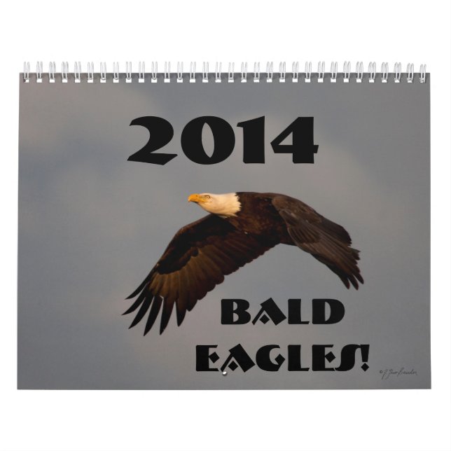 Águilas calvas 2014 del calendario de pared de la (Tapa)