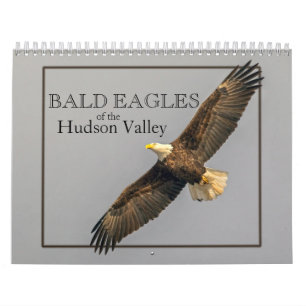 Águilas calvas del calendario del Valle del Hudso