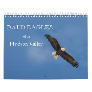 Águilas calvas del calendario del Valle del Hudson