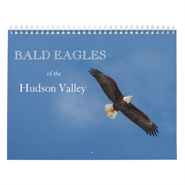 Águilas calvas del calendario del Valle del Hudson (Tapa)