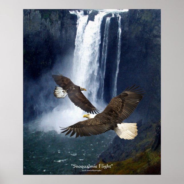 Águilas calvas y Poster de Arte de Vida Silvestre  (Frente)