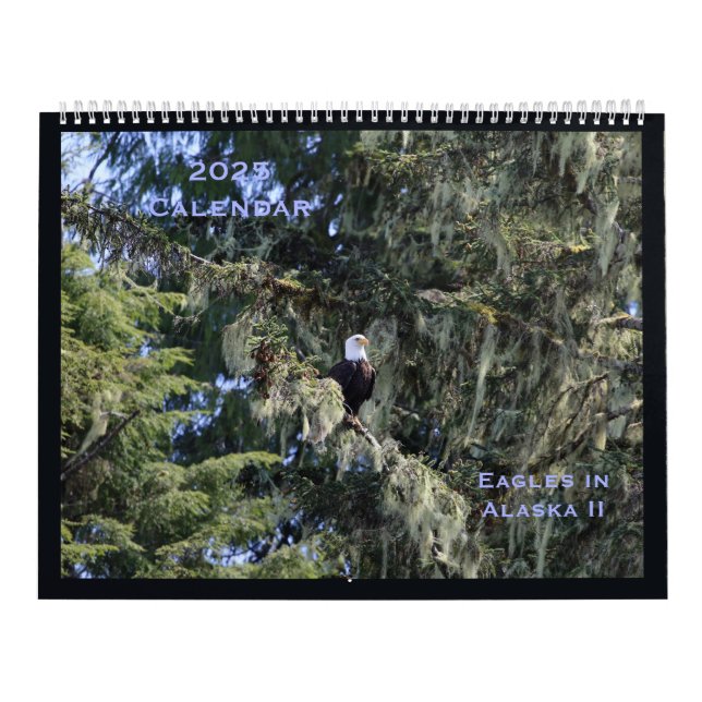 Águilas en el calendario Alaska II (Tapa)