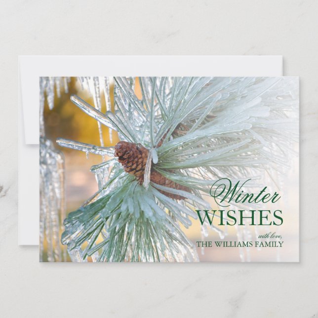 Agujas de pino recubiertas de hielo (Anverso)