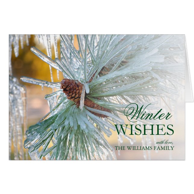 Agujas de pino recubiertas de hielo (Anverso (Horizontal))