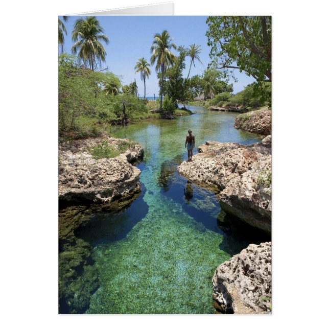 Agujero del lagarto, Ciudad del Río Negro, Jamaica (Frente)