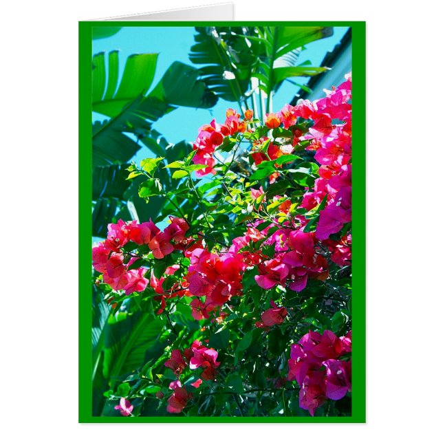 Ahh… la Florida (Frente)