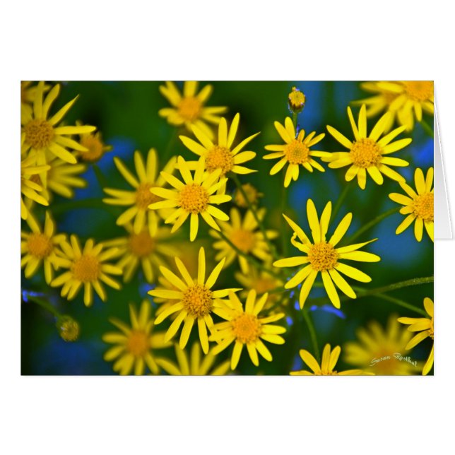 Ahhh, primavera (Anverso (Horizontal))