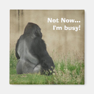 Ahora no... ¡Estoy ocupado! Imán