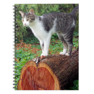 Ahora Tienes Mi Atención - Cuaderno Kitty