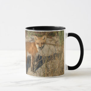 "Ahorre taza del zorro de nuestro planeta"