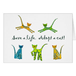 Ahorre una vida. ¡Adopte un gato!