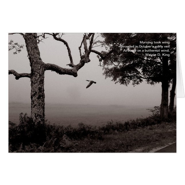 Airborne en un viento de marihuana (Anverso (Horizontal))