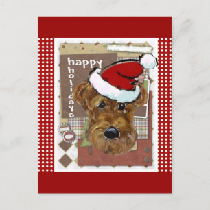 AIREDALE DE NAVIDAD