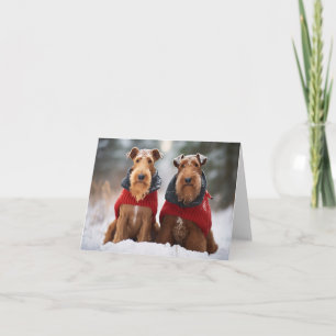 Airedale Dogs en la tarjeta de sudaderas para Navi