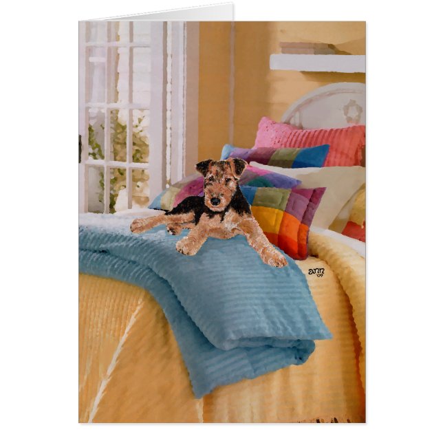 Airedale, Lakeland o Welsh Terrier Pup (Frente)