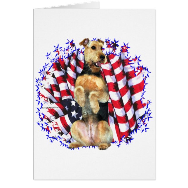 Airedale Terrier Patriot (Frente)