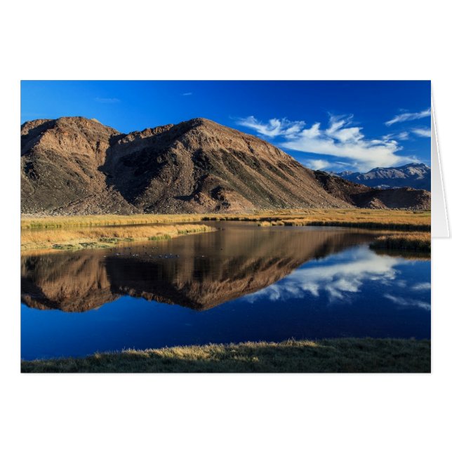 Aislamiento reflectante (Anverso (Horizontal))