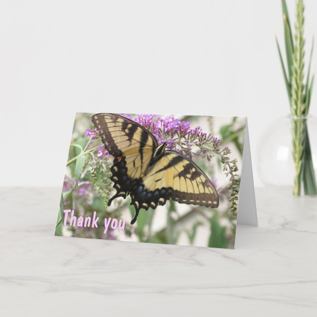 AJ- Tarjeta de agradecimiento al arte de la maripo (Anverso)