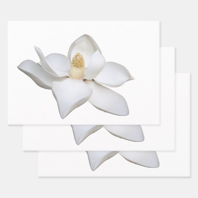 Ajuste de hoja de papel (Set)