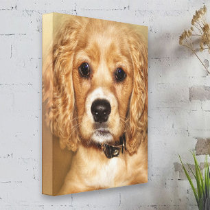 Ajuste de lienzo de retrato de cachorro de cobre e