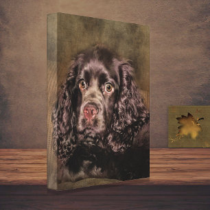 Ajuste de lienzo de retrato de Cocker Spaniel