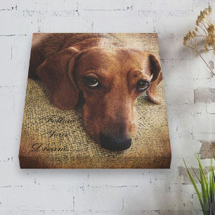 Ajuste de lienzo de retrato de Dachshund