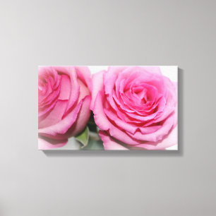 Ajuste de lienzo de rosas rosadas