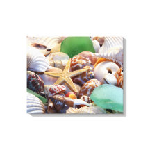 Ajuste de lienzo Starfish & Seashells