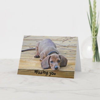 AK- Funny Dachshund Falta tu tarjeta