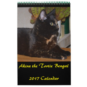Akira el calendario mediano de Tortie Bengal 2017