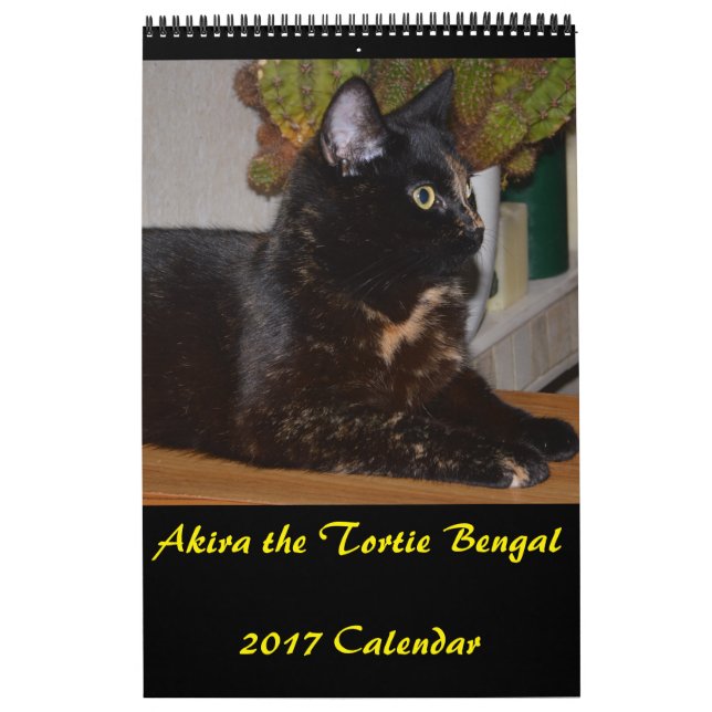 Akira el calendario mediano de Tortie Bengal 2017 (Tapa)