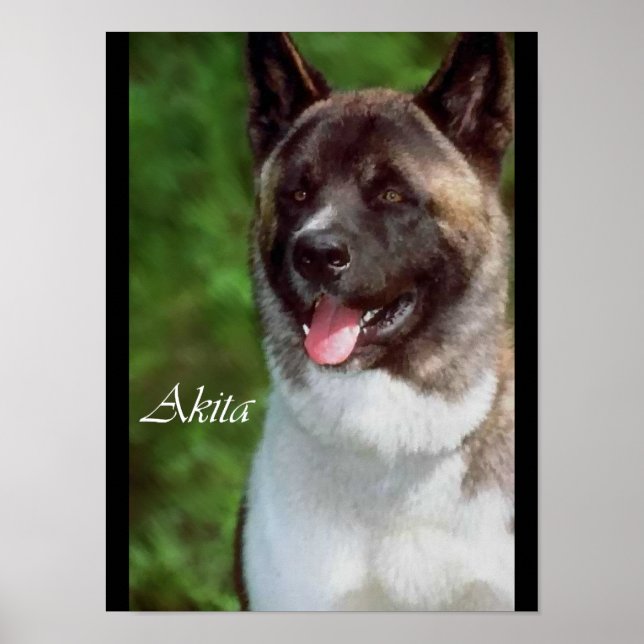 Akita ama a los Posters y las impresiones (Frente)
