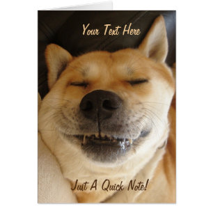 akita japonesa divertida con foto de una sonrisa t