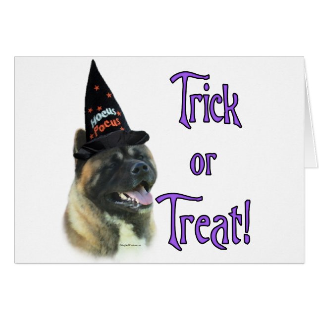 Akita Trick (Anverso (Horizontal))