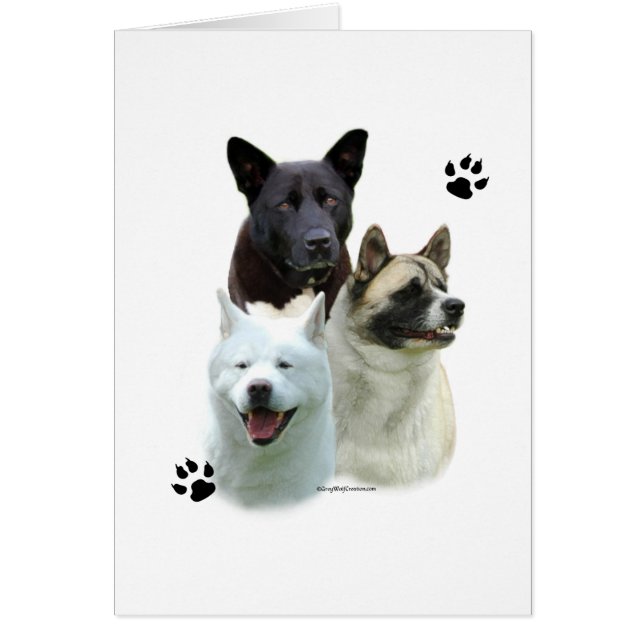 Akita Trio (Frente)