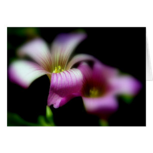 Al lado de usted siempre invitación de boda del